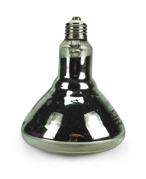 Mega Ray 275 Watt UVB Bulb Only Mega Ray 275 Watt UVB Bulb Only