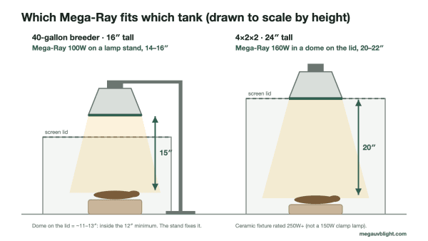 Which Mega-Ray fits which tank Diagram, to scale by height: a 16-inch 40-gallon breeder with a Mega-Ray 100W on a lamp stand at 15 inches, beside a 24-inch 4×2×2 enclosure with a Mega-Ray 160W in a ceramic dome on the lid at 20 inches.